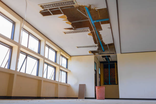 Best Basement water damage restoration  in Williamsburg, VA