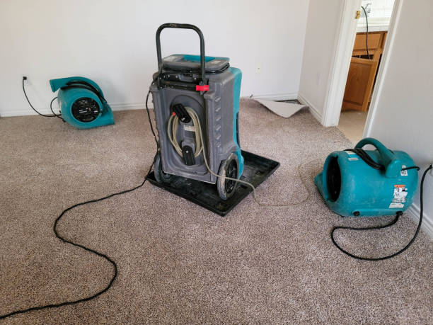 Best Professional water damage repair  in Williamsburg, VA