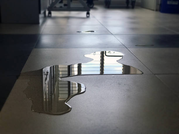 Best 24-hour water damage restoration  in Williamsburg, VA