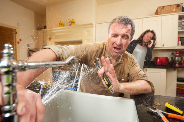 Best Sewage cleanup and water damage restoration  in Williamsburg, VA